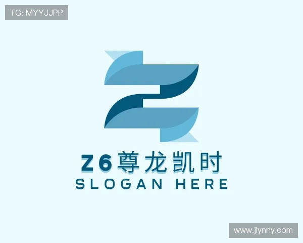 介绍z6尊龙凯时